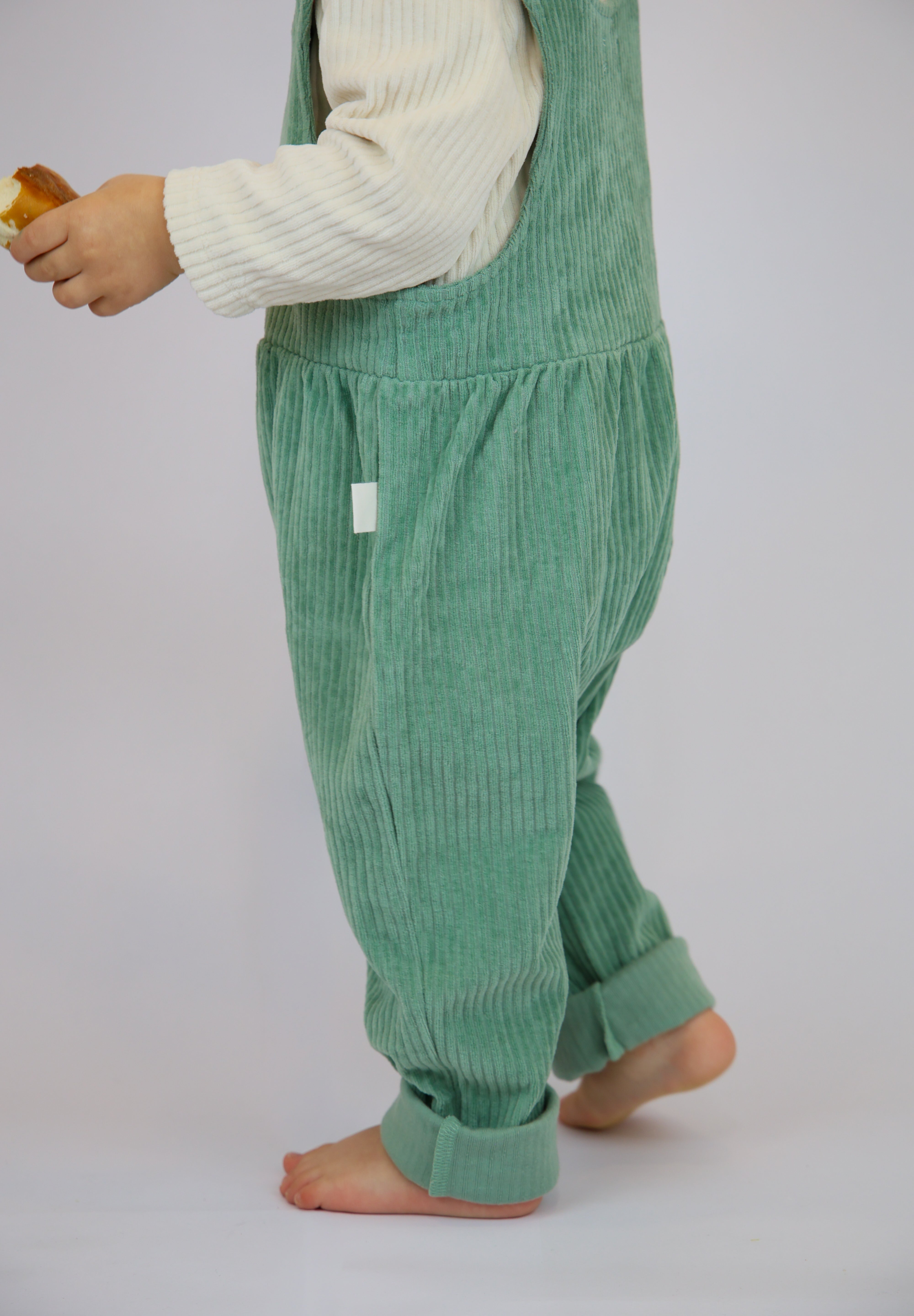 Diabild