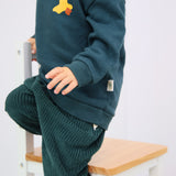 Baby Sweater mit Pudel